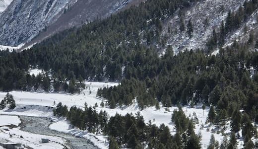 Kinnaur Kalpa Sangla Tour